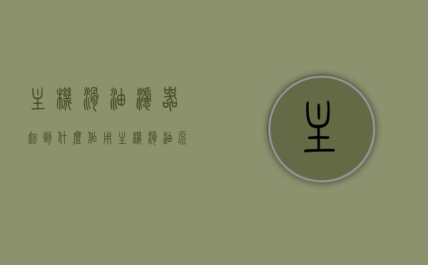 主机滑油滤器起到什么作用（主机滑油泵工作原理），主机滑油滤器的作用及滑油泵工作原理详解，主机滑油滤器功能与滑油泵工作原理详解，滑油系统关键组件详解，主机滑油滤器功能与滑油泵工作原理详解，滑油系统关键组件的全面解析