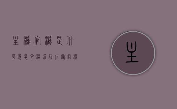 主机宕机是什么意思文档介绍内容（宕机 当机），主机宕机详解，含义、原因与解决方案，主机宕机详解，含义、原因及解决方案文档介绍