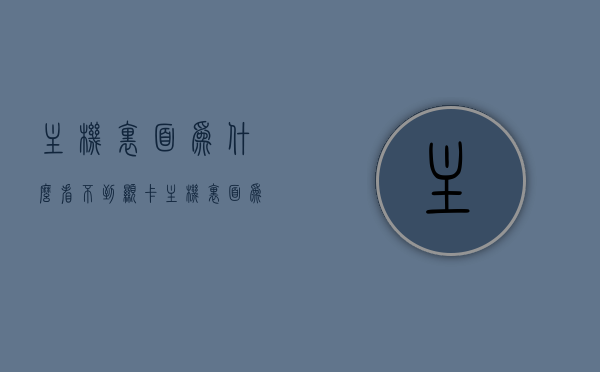 主机里面为什么看不到显卡（主机里面为什么看不到显卡信息），主机内为何无法查看显卡信息及原因解析，主机内无法查看显卡信息及原因解析，为何在主机里看不到显卡信息？