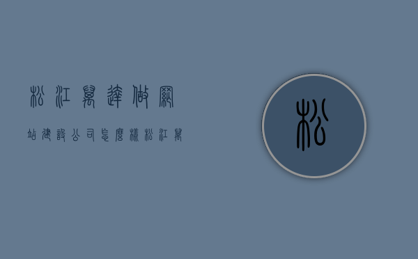 松江万达做网站建设公司怎么样（松江万达店铺有哪些），松江万达网站建设公司评价与店铺一览，松江万达网站建设公司评价与店铺一览，探究其网站建设实力与店铺多样性