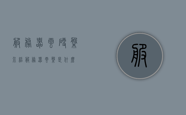 服务器云硬盘介绍（服务器云盘是什么），服务器云硬盘详解，定义与应用探索 第1张