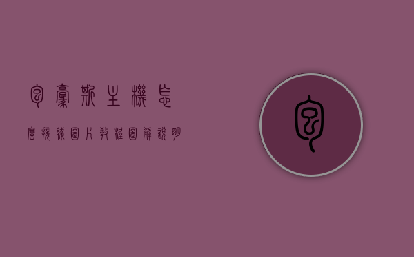 包豪斯主机怎么接线图片教程图解说明书下载的简单介绍，包豪斯主机接线图解教程及说明书下载简介，包豪斯主机接线图解教程与说明书下载简介，详细解读接线步骤与下载指南，包豪斯主机接线图解教程及说明书下载简介，详细解读接线步骤与下载指南图片教程。