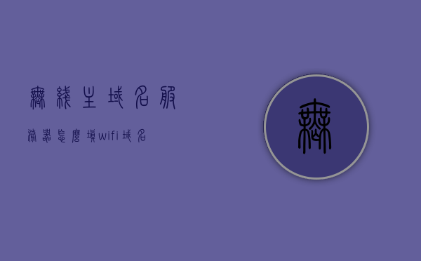 无线主域名服务器怎么填（wifi域名服务器地址怎么设置），无线主域名服务器设置指南，如何填写域名服务器地址（WiFi DNS设置步骤），无线主域名服务器设置详解，如何填写域名服务器地址（WiFi DNS设置指南） 第1张