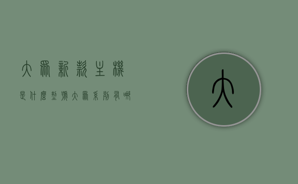 大众新款主机是什么型号（大众系列有哪些品牌主机），大众新款主机型号揭秘，全面探索大众系列品牌主机