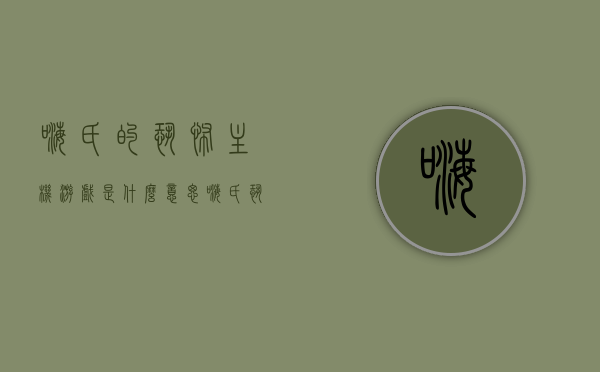 嗨氏的恐怖主机游戏是什么意思（嗨氏恐怖直播），嗨氏恐怖主机游戏揭秘，深度解析恐怖直播内容