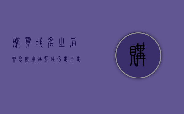 购买域名之后要怎么用（购买域名是不是骗局），购买域名后的使用指南及域名购买的真假解析，购买域名后的使用指南及真伪解析，如何正确使用域名并防范购买陷阱？