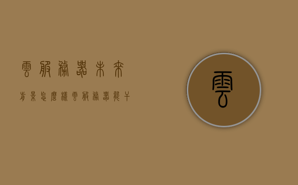 云服务器未来前景怎么样（云服务器能干啥），云服务器未来前景展望，功能多样性与广阔应用前景，云服务器，多样功能与应用前景展望的广阔未来