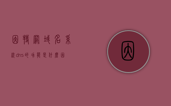 因特网域名系统dns的功能是什么（因特网域名代表含义），因特网域名系统DNS的功能及域名代表含义解析