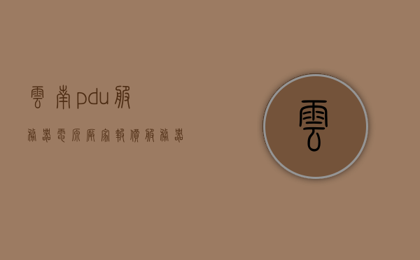云南pdu服务器电源厂家报价（服务器电源厂家有哪些），云南PDU服务器电源厂家报价及厂家介绍