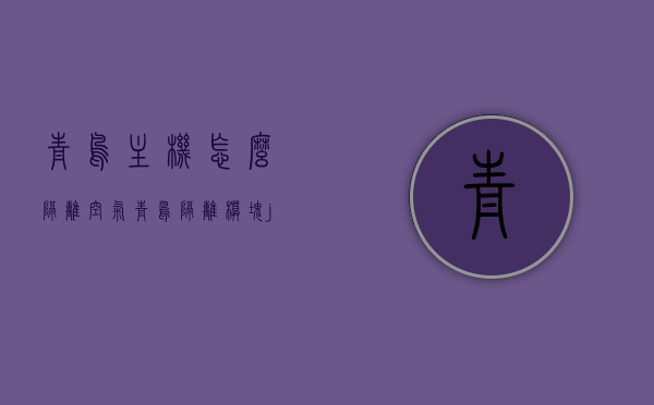 青鸟主机怎么隔离空气（青鸟隔离模块jbf4171），青鸟主机空气隔离方法与JBF4171隔离模块解析，青鸟主机空气隔离方法与解析，JBF4171隔离模块详解，青鸟主机空气隔离方法与解析，JBF4171隔离模块详解及应用指南