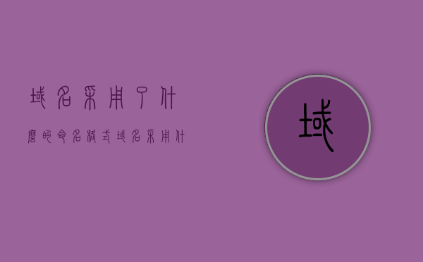 域名采用了什么的命名格式（域名采用什么结构其格式表示），域名命名格式解析，结构及其表示方式，域名命名格式解析，结构、表示方式及其结构特点