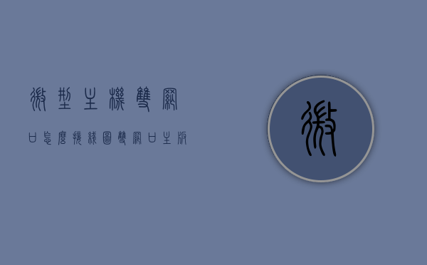 微型主机双网口怎么接线图（双网口主板 网络怎么分配的），微型主机双网口接线指南，主板网络分配全解析
