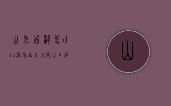 山东省移动dns服务器云空间（山东移动的dns是多少），山东移动DNS服务器云空间及DNS查询