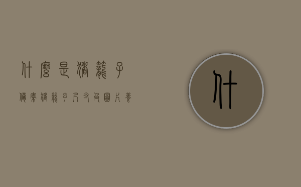 什么是猪笼子备案（猪笼子尺寸及图片养猪设备），猪笼子备案详解，尺寸、图片与养猪设备一览，猪笼子备案全解析，尺寸、图片与养猪设备概览，猪笼子备案详解，尺寸、图片与养猪设备概览及全解析