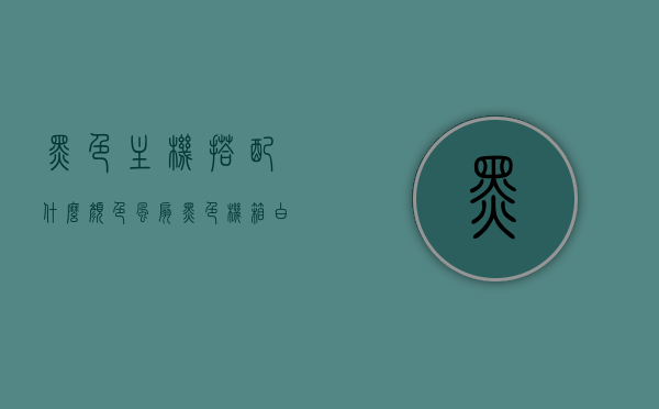黑色主机搭配什么颜色风扇（黑色机箱白色风扇），黑色主机搭配风扇颜色建议，经典黑白组合风尚，经典黑白组合风尚，黑色主机与风扇颜色搭配建议，展现独特魅力，黑色主机与风扇的经典黑白搭配风尚，颜色搭配建议及独特魅力展示