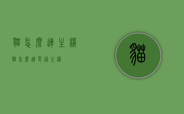 猫怎么连主机（猫怎么连电脑主机），猫连接电脑主机的步骤指南，猫连接电脑主机的步骤详解，从猫到主机的连接指南，猫连接电脑主机的步骤详解，从猫到主机的连接指南。，猫连接电脑主机的步骤详解，从猫到主机的连接指南。，猫连接电脑主机的步骤详解，从猫到主机的连接指南，猫连接电脑主机的步骤详解，从猫到主机的连接全攻略，猫连接电脑主机的全攻略，从猫到主机的详细连接步骤指南