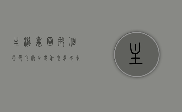 主机里面那个黑色的条子是什么意思呀（主机里面的长条），主机内黑色长条的功能解析