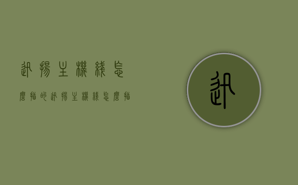 迅扬主机线怎么插的（迅扬主机线怎么插的），迅扬主机线路连接指南，详细解析主机线如何插接，迅扬主机线路连接详解，主机线插接指南，迅扬主机线路连接详解，全面指南与插接步骤解析，迅扬主机线路连接详解，全面指南与插接步骤解析，迅扬主机线路连接详解，全面指南与插接步骤解析，迅扬主机线路连接详解，插接步骤与指南