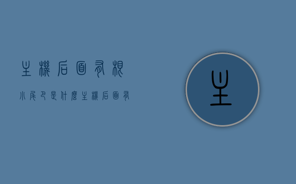主机后面有根小尾巴是什么（主机后面有个小按钮是干嘛的），主机背后小尾巴的秘密，小按钮功能与解析，揭秘主机背后小尾巴的秘密，小按钮功能与解析，揭秘主机背后小尾巴的秘密，小按钮功能与解析介绍，揭秘主机背后小尾巴的神秘小按钮功能与解析介绍