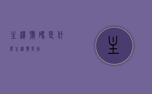 主机号码是什么（主机号是指），关于主机号码的解析，什么是主机号？，关于主机号码的解析，什么是主机号及其含义解析，关于主机号码与主机号的含义解析及解析，全面解读主机号码与主机号概念与用途