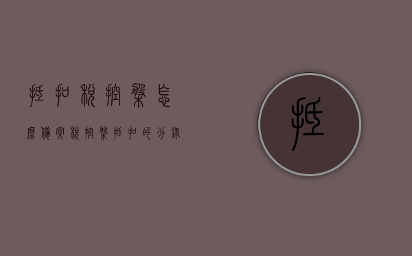抵扣税控盘怎么备案（税控盘抵扣的分录怎么做），关于抵扣税控盘的备案流程与分录处理指南