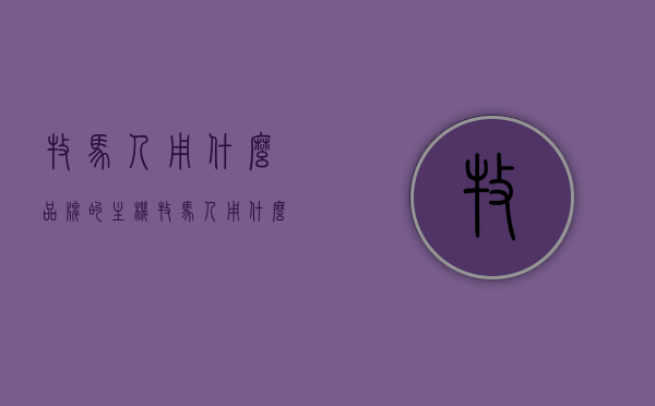 牧马人用什么品牌的主机（牧马人用什么品牌的主机比较好），牧马人推荐的主机品牌选择，优质主机品牌大盘点！，牧马人主机品牌推荐，优质主机大盘点，最佳品牌选择指南！，牧马人主机品牌推荐指南，优质品牌大盘点，最佳主机选择指南！，牧马人主机品牌推荐，优质选择大盘点及最佳品牌指南