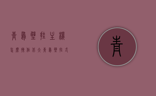 青鸟壁挂主机怎么操作（北大青鸟壁挂式主机操作 视频），青鸟壁挂主机操作指南及视频教程（北大青鸟壁挂式主机操作详解），北大青鸟壁挂式主机操作指南，视频教程与操作指南详解，北大青鸟壁挂式主机操作指南，从入门到精通的视频教程与操作详解，北大青鸟壁挂式主机操作指南，从入门到精通的视频教程与操作详解