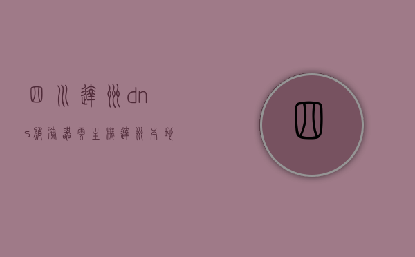 四川达州dns服务器云主机（达州本地网站），达州本地网站DNS服务器云主机服务，四川达州DNS服务器云主机服务与本地网站运营，达州DNS云主机服务解析，四川达州DNS云主机服务解析与本地网站运营支持