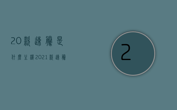 20款速腾是什么主机（2021款速腾是什么主机），关于速腾车型主机的信息，揭秘20款与2021款速腾主机类型，揭秘，20款与2021款速腾车型主机类型介绍及差异对比，揭秘，20款与2021款速腾车型主机类型介绍及差异对比解析，揭秘，20款与2021款速腾车型主机类型介绍及差异对比解析——速腾主机深度剖析，揭秘，20款与2021款速腾车型主机类型深度解析与差异对比，揭秘，20款与2021款速腾车型主机类型深度解析与差异对比——深度剖析速腾主机信息