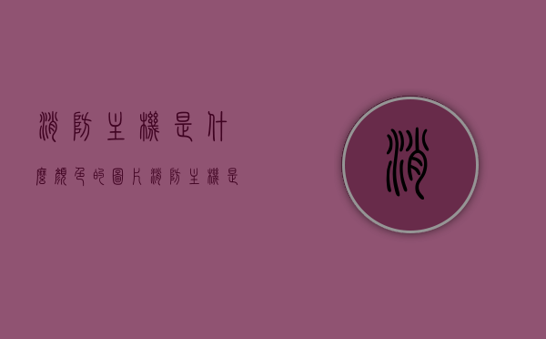 消防主机是什么颜色的图片（消防主机是什么颜色的图片和名称），消防主机图片及颜色介绍，认识消防主机的真实色彩与名称