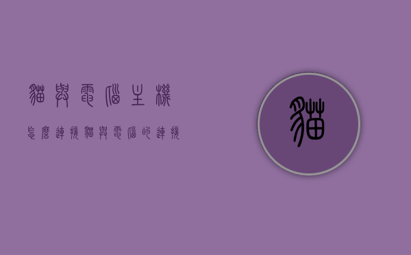 猫与电脑主机怎么连接（猫与电脑的连接方式），猫与电脑主机的连接方式详解，猫与电脑主机连接详解，步骤及方式指南，猫与电脑主机连接详解，步骤及连接方式指南，猫与电脑主机连接详解，步骤及连接方式指南，猫与电脑主机连接详解，步骤及连接方式指南，猫与电脑主机连接详解，步骤及连接方式全面指南，猫与电脑主机连接的全面指南，步骤及连接方式详解，猫与电脑主机连接的全面指南，步骤及连接方式详解