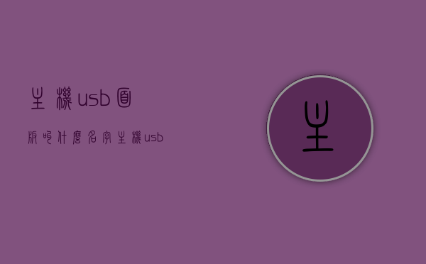 主机usb面板叫什么名字（主机usb面板叫什么名字来着），主机USB面板的正式名称及介绍，主机USB面板的正式名称及介绍解析，专业术语下的电脑配件知识分享