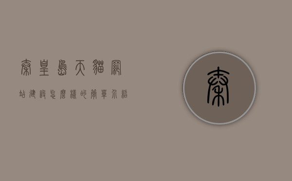 秦皇岛天猫网站建设怎么样的简单介绍，秦皇岛天猫网站建设的简要介绍