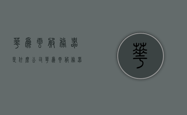 华为云服务器是什么公司（华为云服务器到底怎么样），华为云服务器详解，公司背景与性能评估