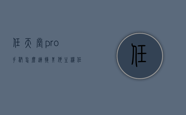 任天堂pro手柄怎么连接其他主机（任天堂pro手柄使用说明），任天堂Pro手柄连接其他主机及使用方法说明，任天堂Pro手柄连接其他主机及使用方法详解，任天堂Pro手柄连接其他主机及使用方法详解指南，任天堂Pro手柄连接其他主机及使用方法详解指南，使用说明与操作详解，任天堂Pro手柄连接其他主机及全面使用方法详解指南，任天堂Pro手柄连接其他主机及全面使用方法详解指南，操作说明与操作技巧
