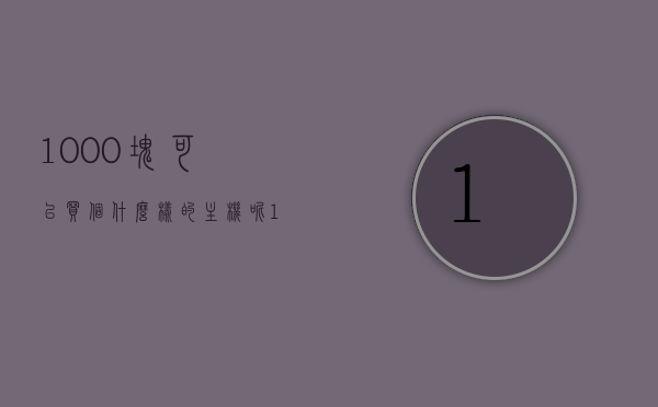 1000块可以买个什么样的主机呢（1000块可以买个什么样的主机呢视频），千元预算，你能买到什么样的主机？——1000元主机购买指南（视频），千元预算，超值主机购买指南，1000元主机选购详解（视频版），千元预算超值主机购买指南，千元主机选购详解（视频版），千元预算超值主机购买指南，选购详解与推荐视频（附视频链接）