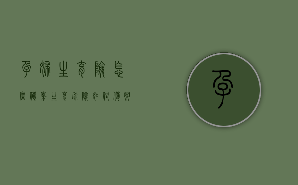 孕妇生育险怎么备案（生育保险如何备案表），孕妇生育险备案流程详解，生育保险备案表操作指南，孕妇生育险备案详解，流程与操作指南，孕妇生育险备案详解及操作指南，生育保险备案流程全面解析