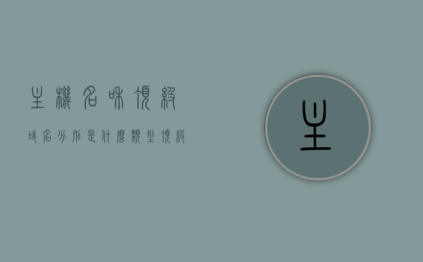 主机名和顶级域名分别是什么类型（顶级域名和二级域名和主机名），主机名、顶级域名及其之间的关系，详解主机名类型和域名层次，详解主机名与域名层次，主机名类型与顶级域名、二级域名的定义及其关系解析