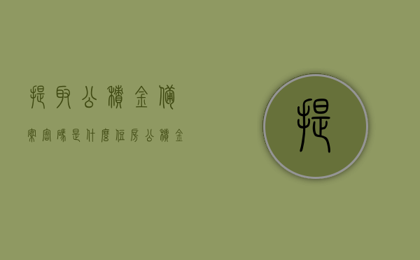 提取公积金备案密码是什么（住房公积金提取备案号是多少），关于公积金备案密码及住房公积金提取备案号的解析，关于公积金备案密码及住房公积金提取备案号的详细解析，揭秘备案密码与提取备案号是什么，揭秘公积金备案密码与住房公积金提取备案号，详解及解析密码揭秘！
