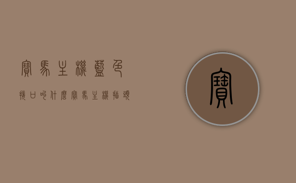 宝马主机蓝色接口叫什么（宝马主机插头接线图），宝马主机蓝色接口名称及主机插头接线图解析，宝马主机蓝色接口名称与插头接线图解析，宝马主机蓝色接口名称及插头接线图解析指南，宝马主机蓝色接口名称与插头接线图解析指南