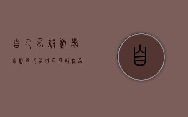自己有服务器怎么买域名（自己有服务器申请域名），如何为自己的服务器申请域名？完整指南！，如何为自己的服务器申请域名？完整指南，包括购买域名和申请流程！，如何购买域名并申请为自己的服务器使用，完整指南！ 第1张