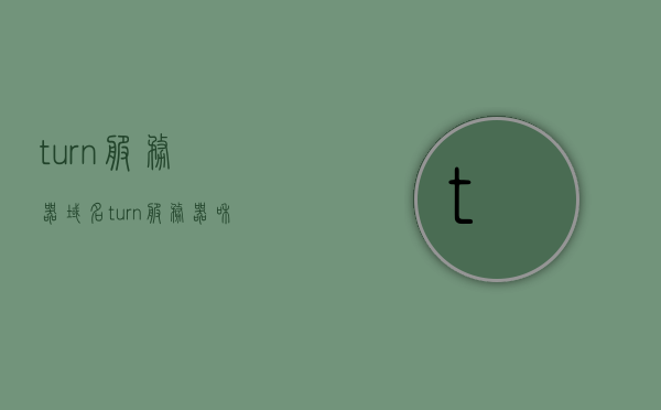 turn服务器域名（turn服务器和stun作用），TURN服务器域名解析，探究TURN服务器与STUN的作用与功能