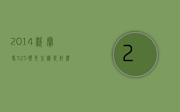 2014款宝马525领先主机是什么的（14款宝马525领先实用功能），揭秘2014款宝马525领先主机功能及实用体验