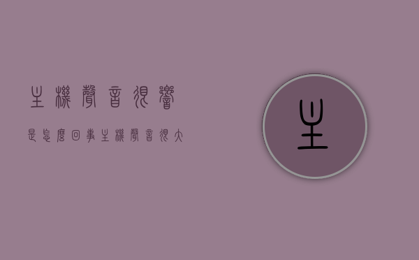 主机声音很响是怎么回事（主机声音很大是什么原因），主机声音很响的原因解析，为何主机声音如此大？，解析主机声音很响的原因，为何主机声音如此大？