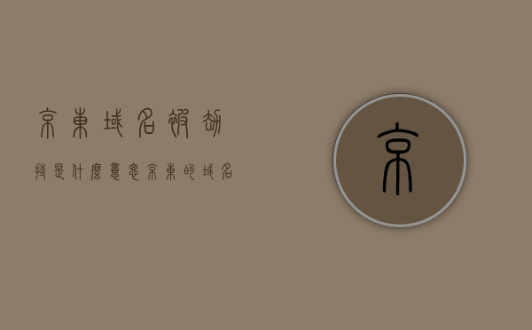 京东域名被劫持是什么意思（京东的域名的特点和含义），京东域名遭遇劫持，解析域名特点及含义，京东域名遭遇劫持事件，解析域名特点及含义背后的真相揭秘