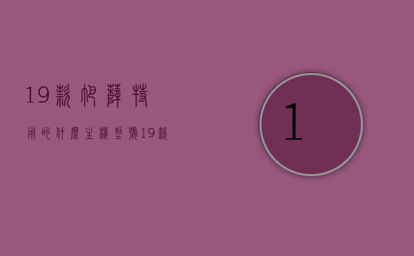 19款帕萨特用的什么主机型号（19款帕萨特用的什么主机型号啊），19款帕萨特主机型号详解，揭秘！2019款帕萨特主机型号详解，揭秘！2019款帕萨特主机型号详解及功能解析