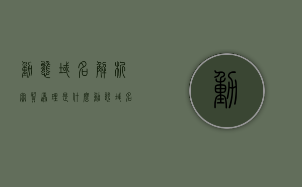 动态域名解析实质原理是什么（动态域名解析是什么意思），动态域名解析的原理及含义解析