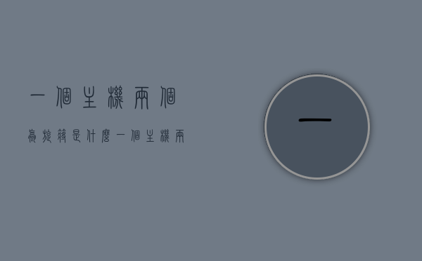 一个主机两个螺旋桨是什么（一个主机两个挂机），一个主机两个螺旋桨或双挂机配置解析