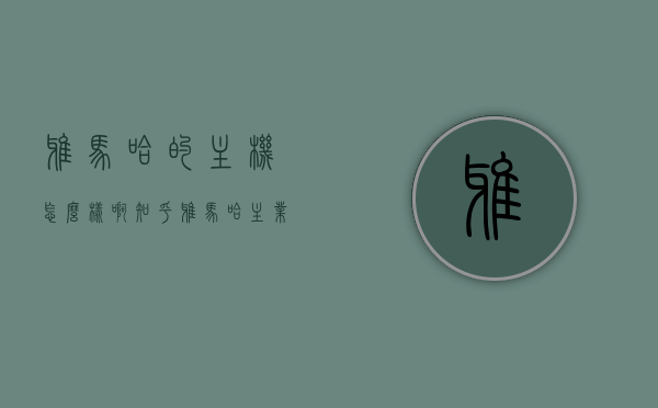 雅马哈的主机怎么样啊知乎（雅马哈 主业），雅马哈主机性能解析及知乎用户评价（雅马哈主业深度探讨）