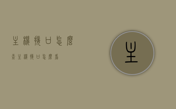 主机接口怎么查（主机接口怎么看），如何查看主机接口？